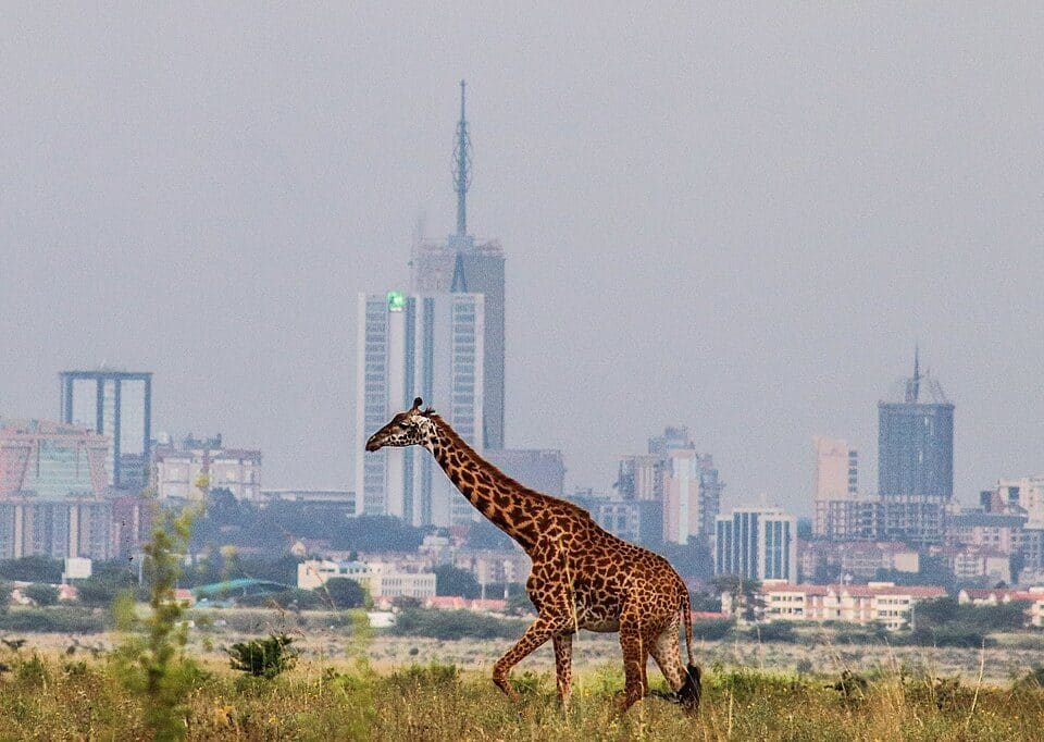 Kenya destination